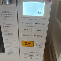 レイシレンジ最後値下げの画像