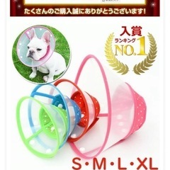 🉐【ランキング1位⭐️高評価レビュー】  柔らかい素材でペットの体を傷つけないエリザベスカラー  ＸL  定価¥1.100( 送料¥680 )   怪我術後傷口舐め防止保護 エリカラ襟巻 大きい痛くない柔らかい軽量抗菌  皮膚病炎症対策  手術後ケアの画像