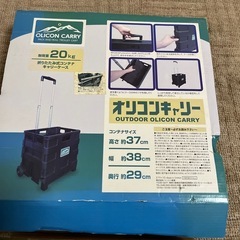 オリコンキャリーの画像