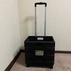 オリコンキャリー