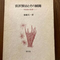 宮沢賢治とその展開　氷窒素の世界