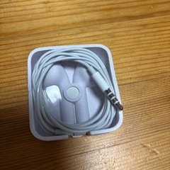 イヤフォン　ライトニングの画像