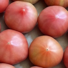 ✨新鮮✨トマトです！✨の画像