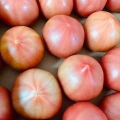 ✨新鮮✨トマトです！✨の画像
