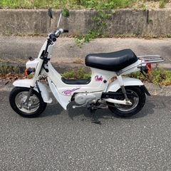 決まりましたバイクCF50ジヤリ５０c c１２ボルト最終型
