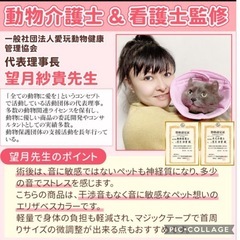 🉐【⭐️売上ランキング1位獲得！  2冠達成！】 2枚セット 布製エリザベスカラー L  犬 猫 ソフト 術後服 布 軽い エリカラ 小型 中型 大型 着脱簡単 洗濯可能  の画像