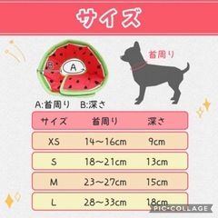 🉐【⭐️売上ランキング1位獲得！  2冠達成！】 2枚セット 布製エリザベスカラー L  犬 猫 ソフト 術後服 布 軽い エリカラ 小型 中型 大型 着脱簡単 洗濯可能  の画像