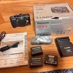 Panasonic　GX1の画像