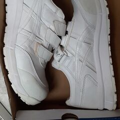 アシックス安全靴です。