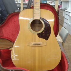 TOMSON　アコースティックギター　GW-650　トップ単板