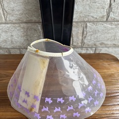 🉐差し上げます❗️【動物病院購入】清掃除菌済☺️透明エリザベスカラー    Lサイズ   補修済み即ご利用可能 の画像