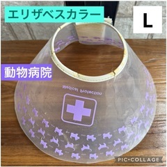 🉐差し上げます❗️【動物病院購入】清掃除菌済☺️透明エリザベスカ...