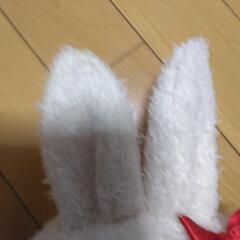 といざらずパペットマペットの画像