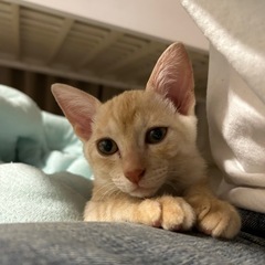 おっとり甘えん坊くん