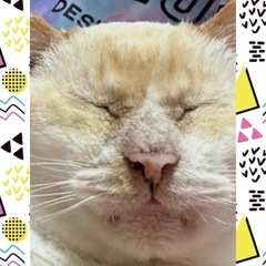 【大至急】幸せにしてあげてください