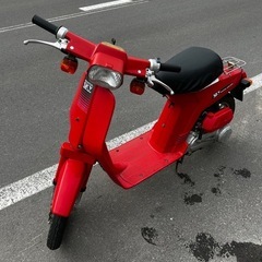 函館、実働ホンダ スカイ