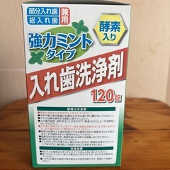 入れ歯洗浄剤　120錠　強力ミントタイプ　未開封の画像