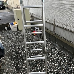 きゃたつ
