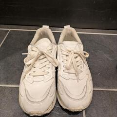 【6/7廃棄】ZARA レザースニーカー 白 EU37