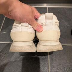 【6/7廃棄】ZARA レザースニーカー 白 EU37の画像