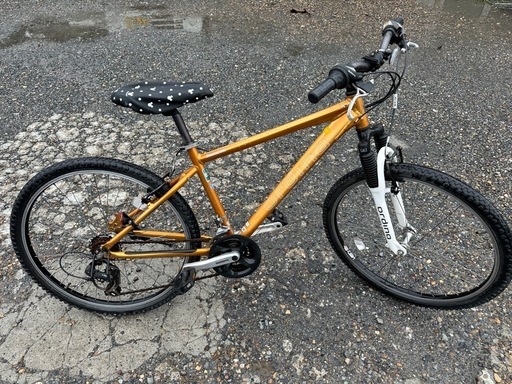 マウンテンバイク