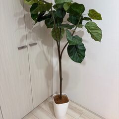 大型フェイクグリーン フィカス 大型観葉植物