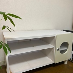 TVボート、TV台