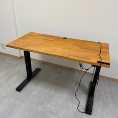 Flexispot 電動昇降デスク 板材セット