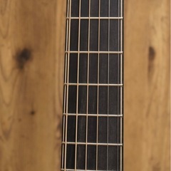 Lowden F-35C IR/SSの画像