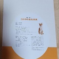 ねこのきもち 体の異変シリーズ2冊の画像