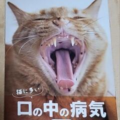 ねこのきもち 体の異変シリーズ2冊の画像