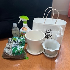 植木鉢　植物セット