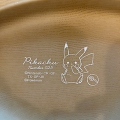 ピカチュウ　プレートの画像