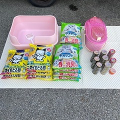 猫セット