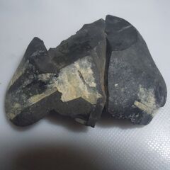 南米コロンビア・ボヤカ県産 アンモナイト 片面 ７８ｇ の画像