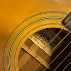 ARIAアコースティックギターの画像