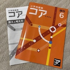 【最終価格】小学問題集 コア 理科6年生