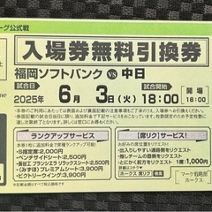 6/3 ホークスチケット