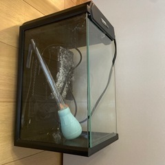 コトブキ　水槽　views W320×D180×H220