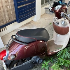 ホンダ ジョルノ
