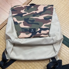 コロ様の画像
