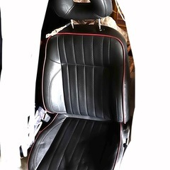 ヴィヴィオ シート ビストロ？限定仕様の画像