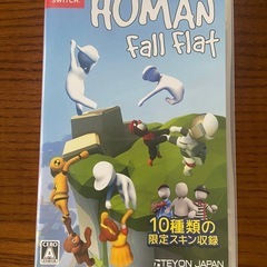 Switch ヒューマンフォールフラット　ソフト