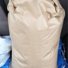 本日限定30kg 6年度産  まっしぐら米