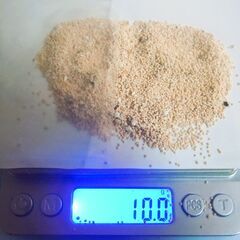化石 有孔虫 星の砂 西表島産 １０ｇ 
