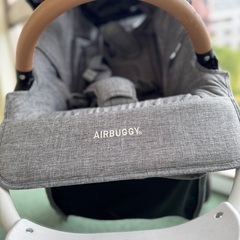 【人気カラー】エアバギー ココブレーキ フロムバース＜アースグレイ＞の画像