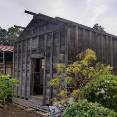 ※譲渡者確定【無料】稲木と小屋解体後の木材