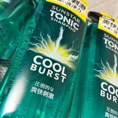 2612円で購入 本体2個　詰替2コ　サンスター　トニックシャンプー　ヘアケア　シャンプー　スカルプケアの画像