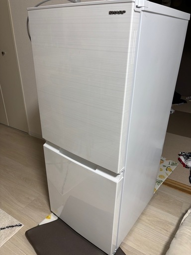 シャープ 冷蔵庫 152L 左右付替 2ドア 幅49.5cm 一人暮し向け どっちもドア 静音省エネ メガ冷凍室 SJ-D15G-W ホワイト系