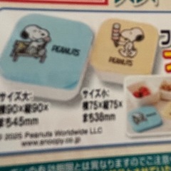 新品　フードケースセット大小　2個の画像